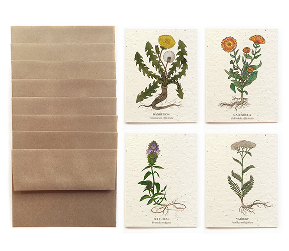 "Medicinal Plant" Card Set - Bower Studio